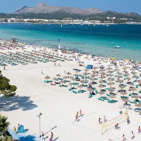 Pinar * Port de Alcudia (Mallorca)