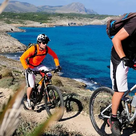 Pinar Port de Alcudia (Mallorca)